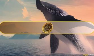 Whale Inflows Surge, Daily Inflows Dip