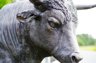 Bullish Teams Up With Solana for Institutional Stablecoin Push