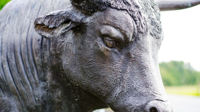 Bullish Teams Up With Solana for Institutional Stablecoin Push