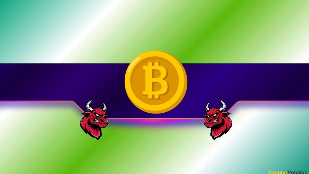 Crypto Whale James Wynn Liquidated in 12 Hours as BTC Soared to New Peaks