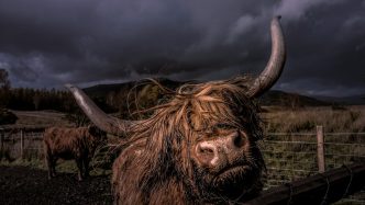 Bitcoin’s (BTC) 200-Week Average Nears K to Suggest Long-Term Market Strength