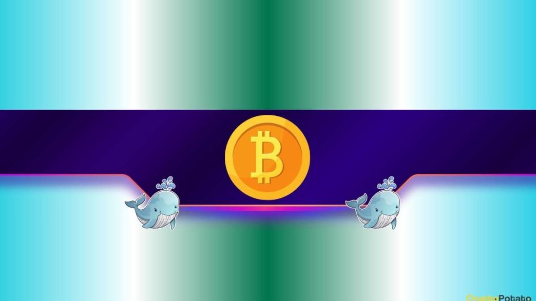 Bitcoin Whales Scoop 248K BTC This Month as Bulls Eye 0K