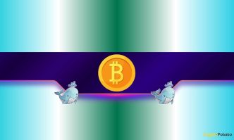 Bitcoin Whales Scoop 248K BTC This Month as Bulls Eye 0K