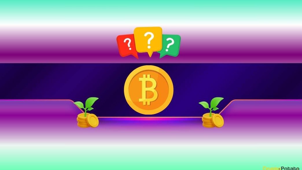 How Much You Should Invest in Bitcoin (BTC)? Veteran Trader Peter Brandt Weighs in