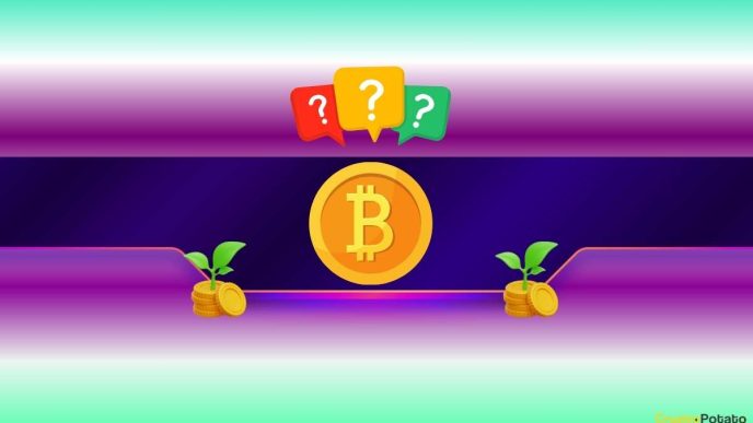 How Much You Should Invest in Bitcoin (BTC)? Veteran Trader Peter Brandt Weighs in