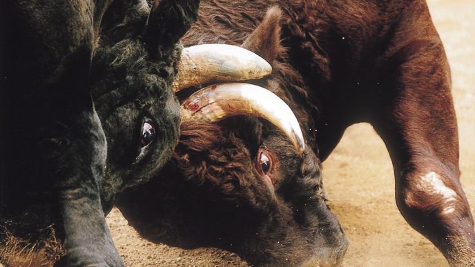 XRP Is Bitcoin’s Biggest Rival, Says Pundit