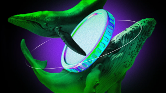 What Crypto Whales Are Buying Before the July CPI Data
