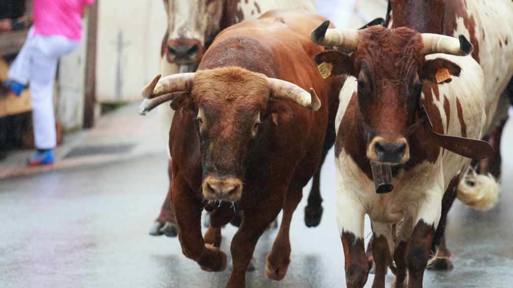 BTC Price Retreats From 8K, But Bulls Aren’t Done
