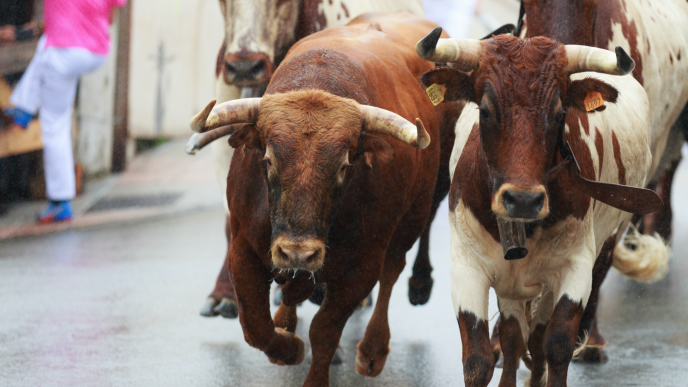 BTC Price Retreats From 8K, But Bulls Aren’t Done