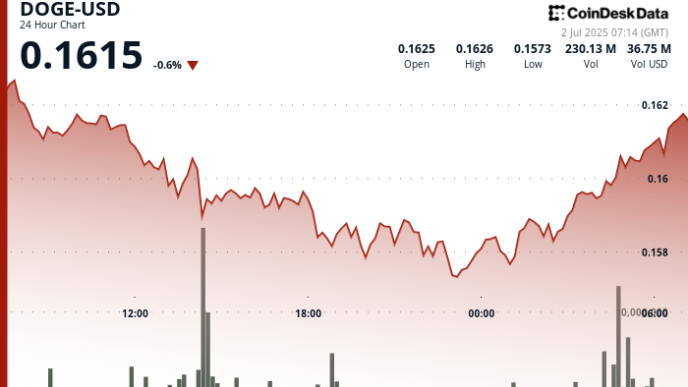 Dogecoin Rebounds After Forming ‘Double Bottom’