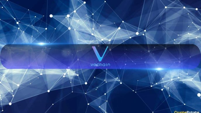 VeChain Kicksoff M StarGate Staking Program After SEC’s Staking Clarity