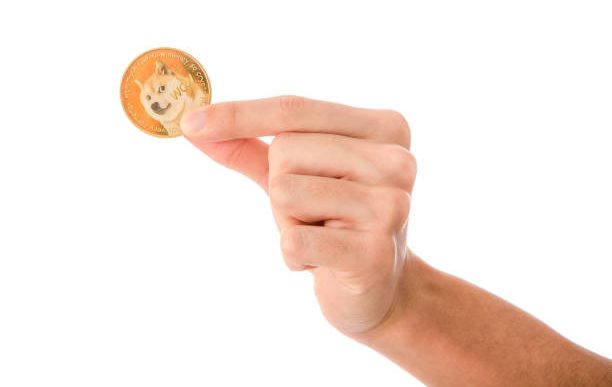 Dogecoin Price Crash Could End Soon With A Roadmap For 