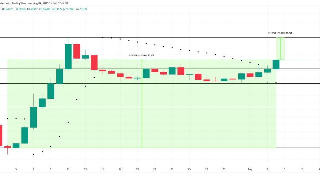 3 Meme Coins To Watch in August 2025