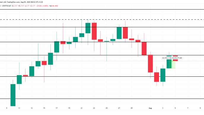 Why is the Crypto Market Up Today?